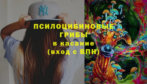 прущие крисы Беломорск