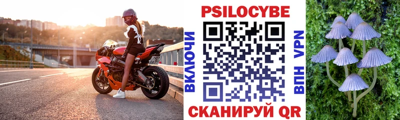 Псилоцибиновые грибы GOLDEN TEACHER Гремячинск